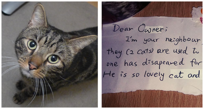 UK Couple Mourning Their Cat Find Touching Note from a Stranger
