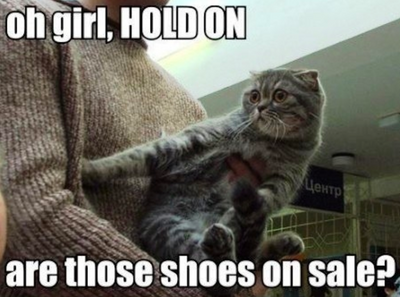 Black Friday Cat Memes So Accurate It hurts