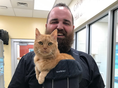 Lonely Senior Cat Cries to Be Held Until Shelter Comes Up With Purrfect Solution