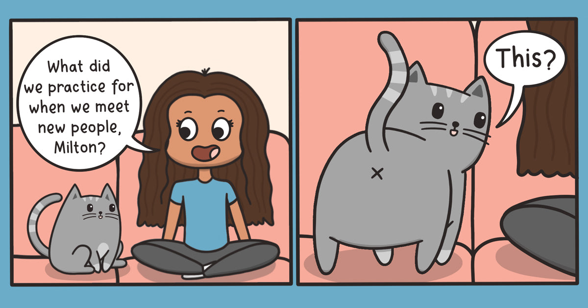 7 Bizarre Cat Behaviors Explained Meowingtons