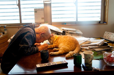 Rescued Cat Changed the Life of this Grandpa with Alzheimer's