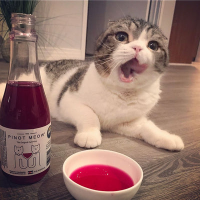 Never Drink Alone Again, Now We Have Wine for Cats.