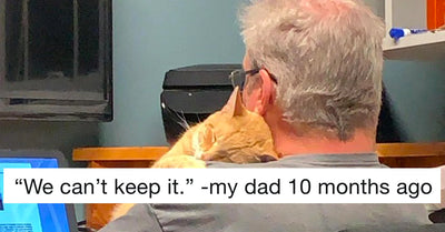 10 Reluctant Cat Dads Who Said They Absolutely Didn't Want a Cat