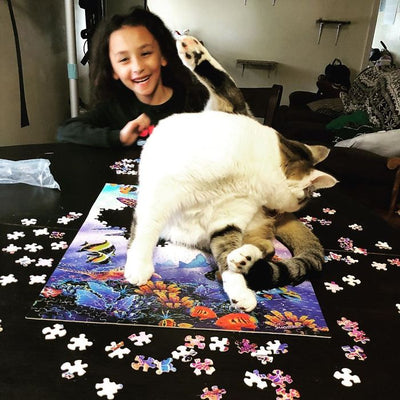 The Real Quarantine Challenge: Trying To Finish a Puzzle When You Have Cats