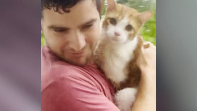 Florida Man Saves Stranded Cat From Floodwaters of Hurricane Ian