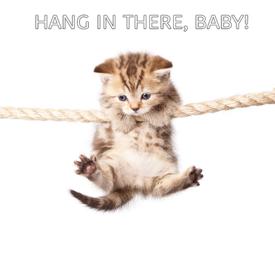The Cats Are Out of the Bag, And They’re Here to Stay