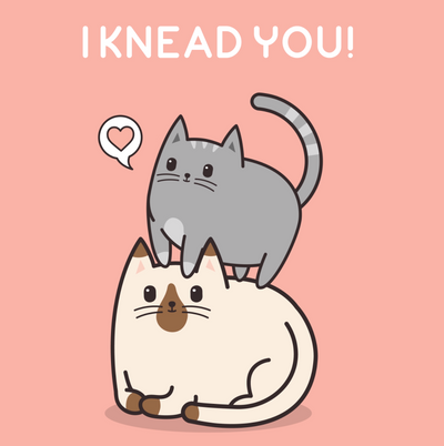 14 Purrfect Cat Puns To Send Your Pun-Loving Valentine