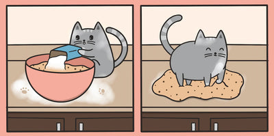 What Does It Mean When Cats "Make Biscuits"?