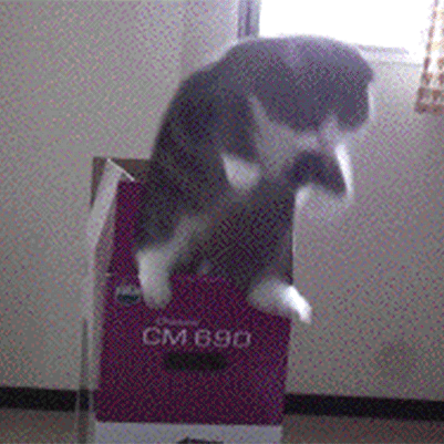 square.gif