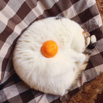 The Art of "Cat Stacking"