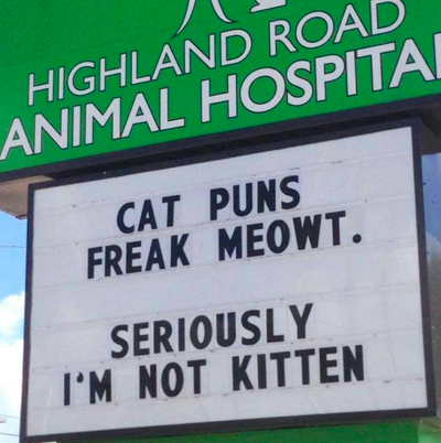 10 Hilarious Vet Clinic Signs That Will have You in Stitches Instead of Your Pet
