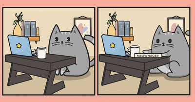 Working From Home With Cats? 5 Tips to Stay Productive