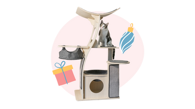 Meowingtons Modern Cat Trees