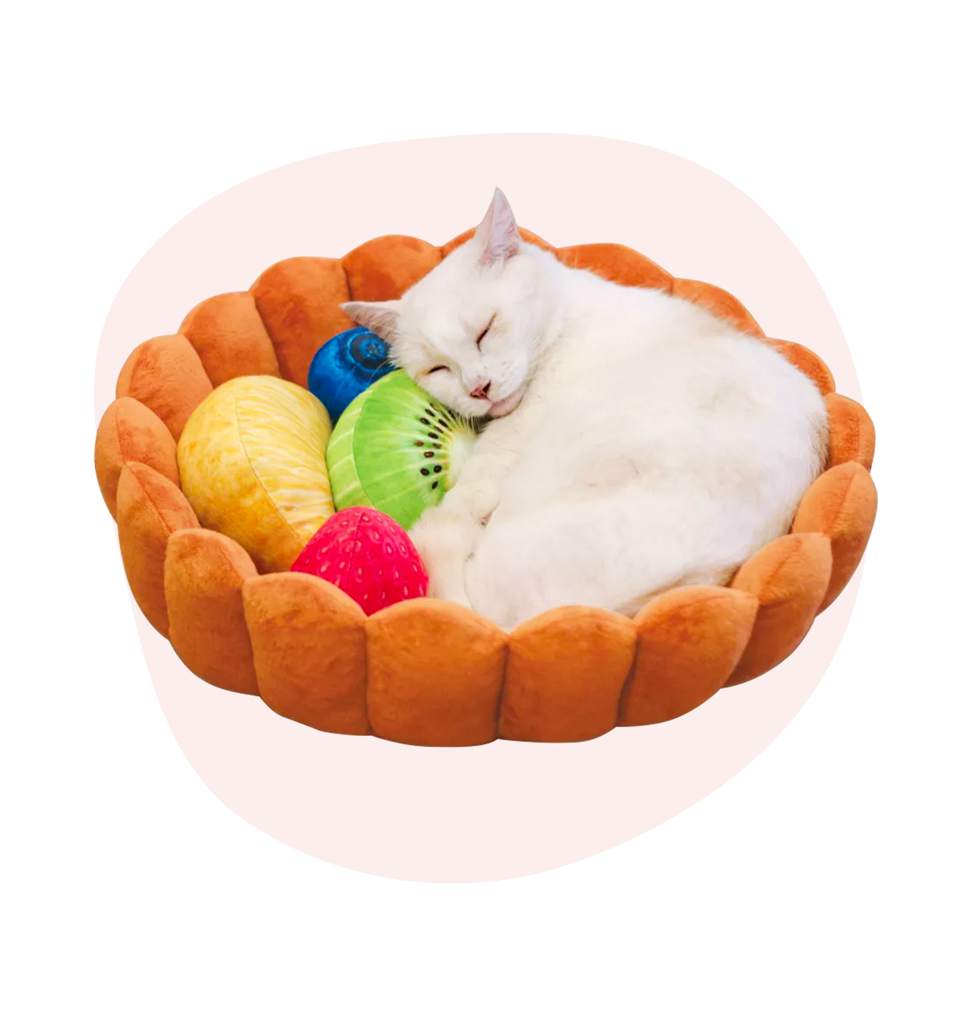 Cute Cat Beds Your Cat Will Actually Use Meowingtons