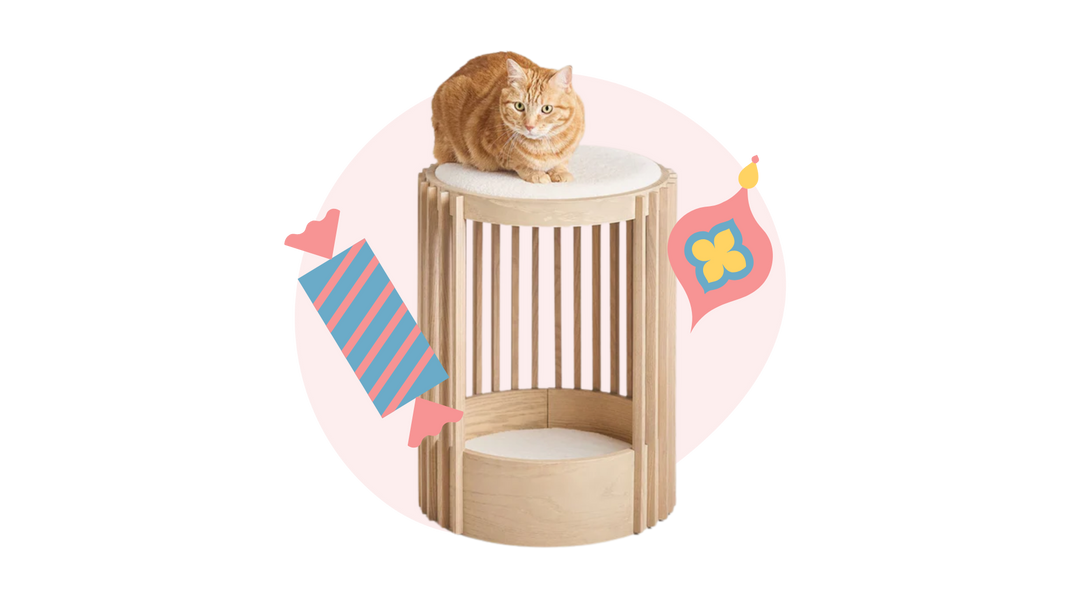 Cat Store Online Cat Trees Cat Apparel More Meowingtons