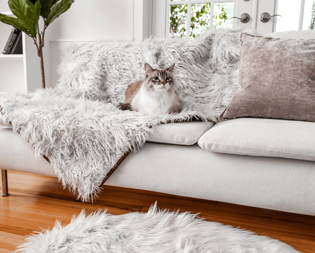 Waterproof cat blanket deals