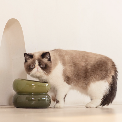 Souffle Pet Bowl