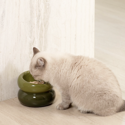 Souffle Pet Bowl
