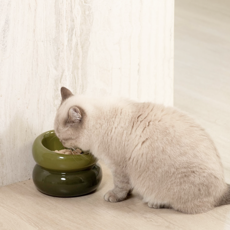 Souffle Pet Bowl