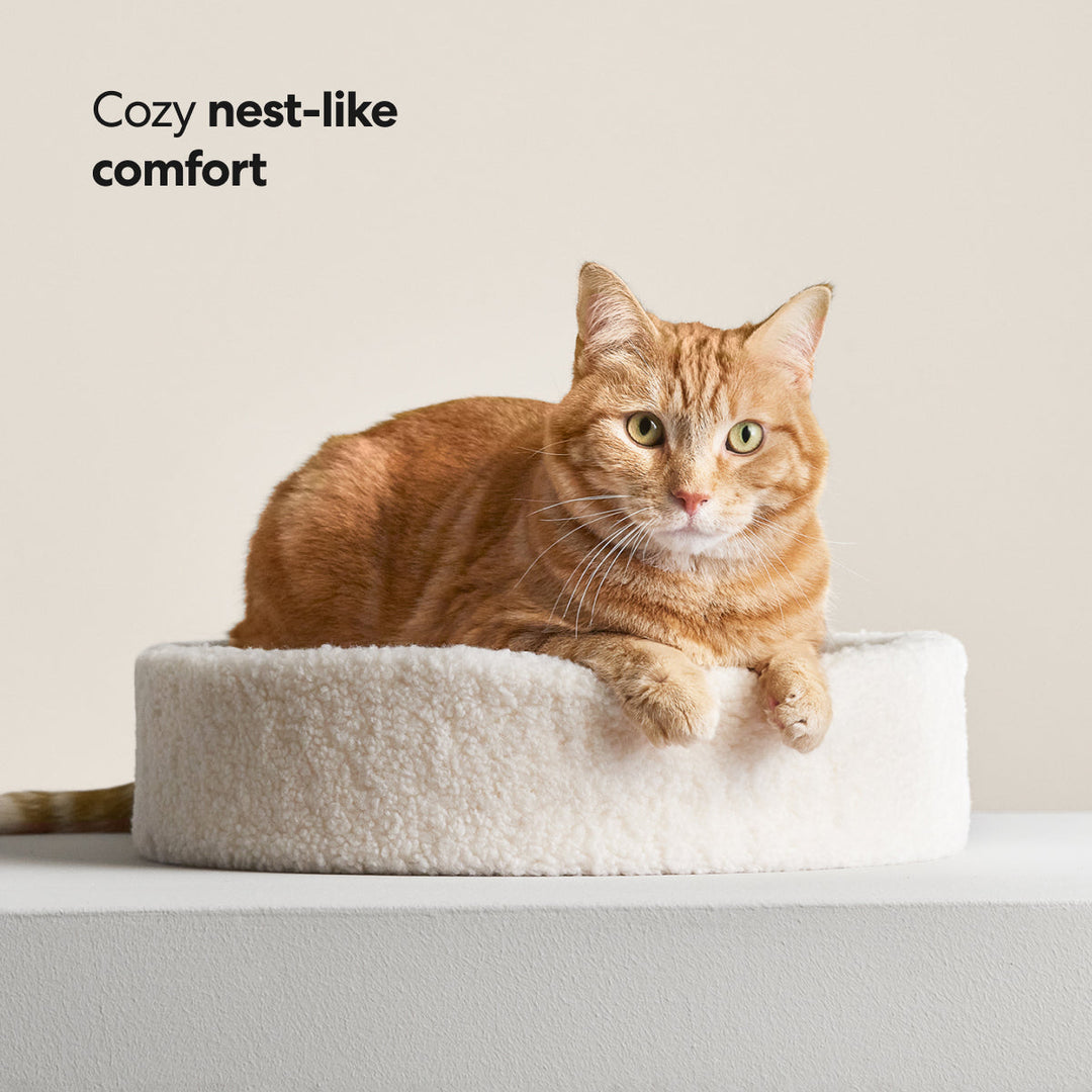Kip Cat Bed – Meowingtons
