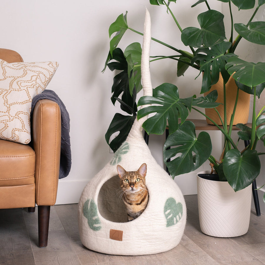 monstera cats Monstera Leaf Wool Cat Cave – Meowingtons