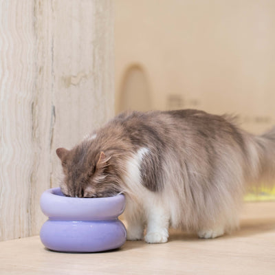 Souffle Pet Bowl