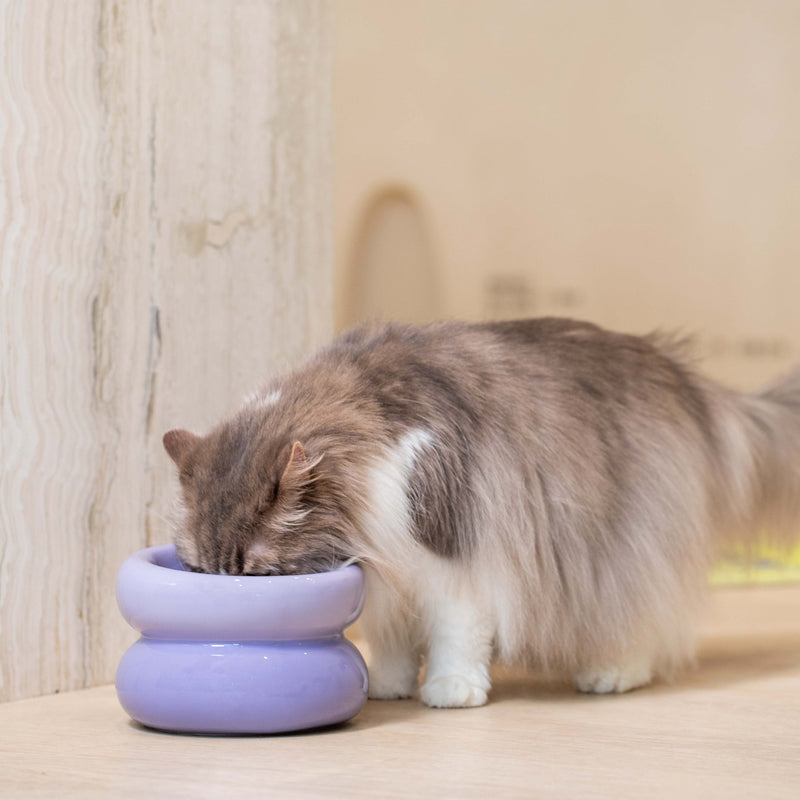 Souffle Pet Bowl