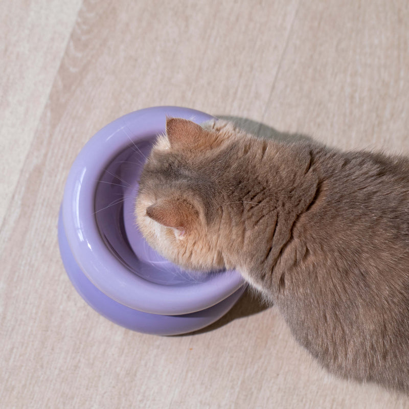 Souffle Pet Bowl