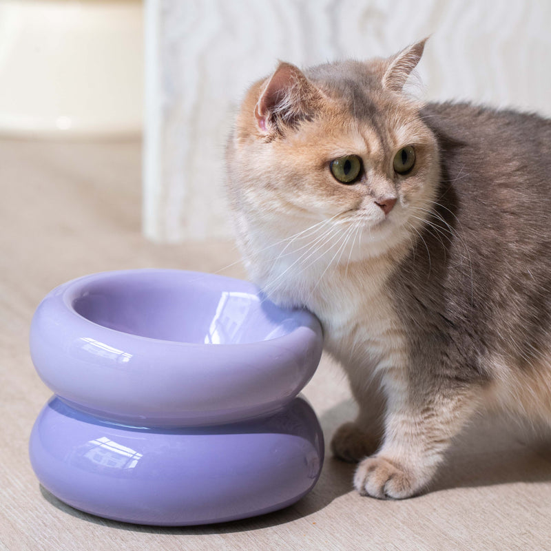 Souffle Pet Bowl