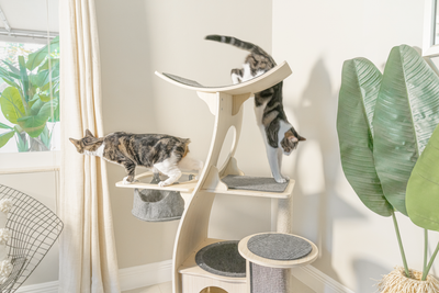 $100 OFF Jungle Gym Cat Tree