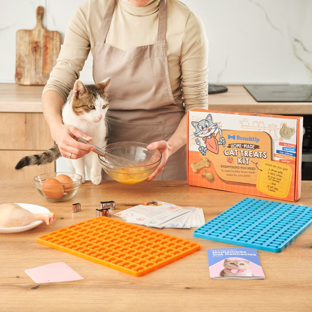 BoneItUp Homemade Cat Treats Kit Meowingtons