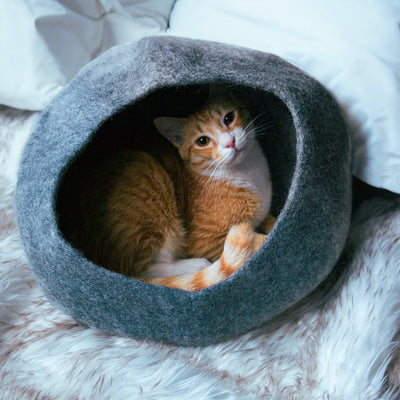Cat peeking out from a gray cat cave pet bed on a fluffy white blanket