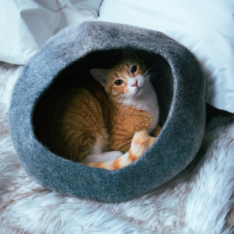 Cat peeking out from a gray cat cave pet bed on a fluffy white blanket