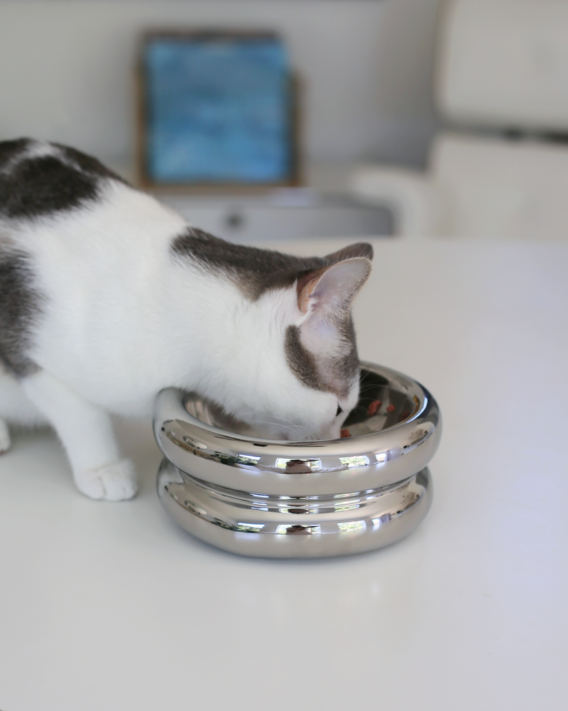 Halo Elevated Cat Food Bowl in Chrome
