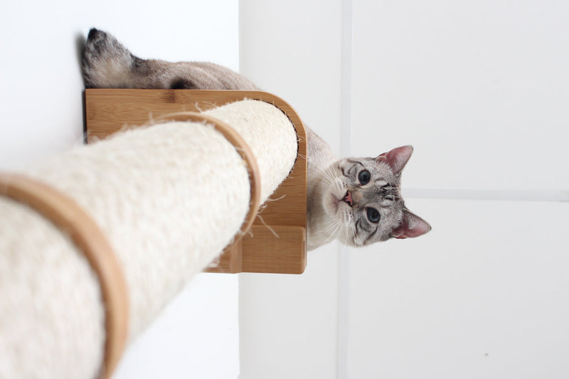 Wall Mounted Cat Scratching Post - Sisal