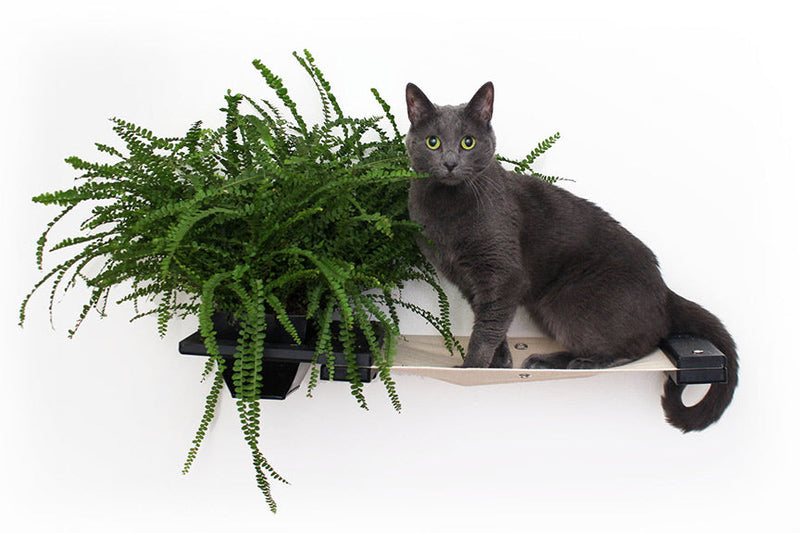 Cat Hammock Wall with Planter