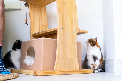 The Cozy Cove Mega Perch Cat Tree Accessory