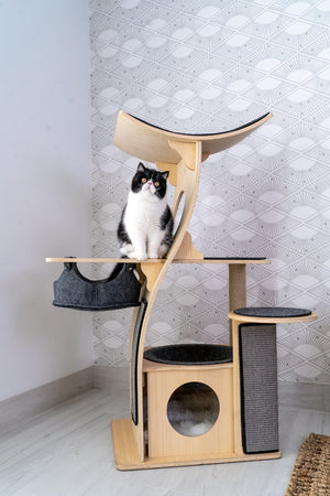 Cat Store Online  Cat Trees, Cat Apparel & More – Meowingtons