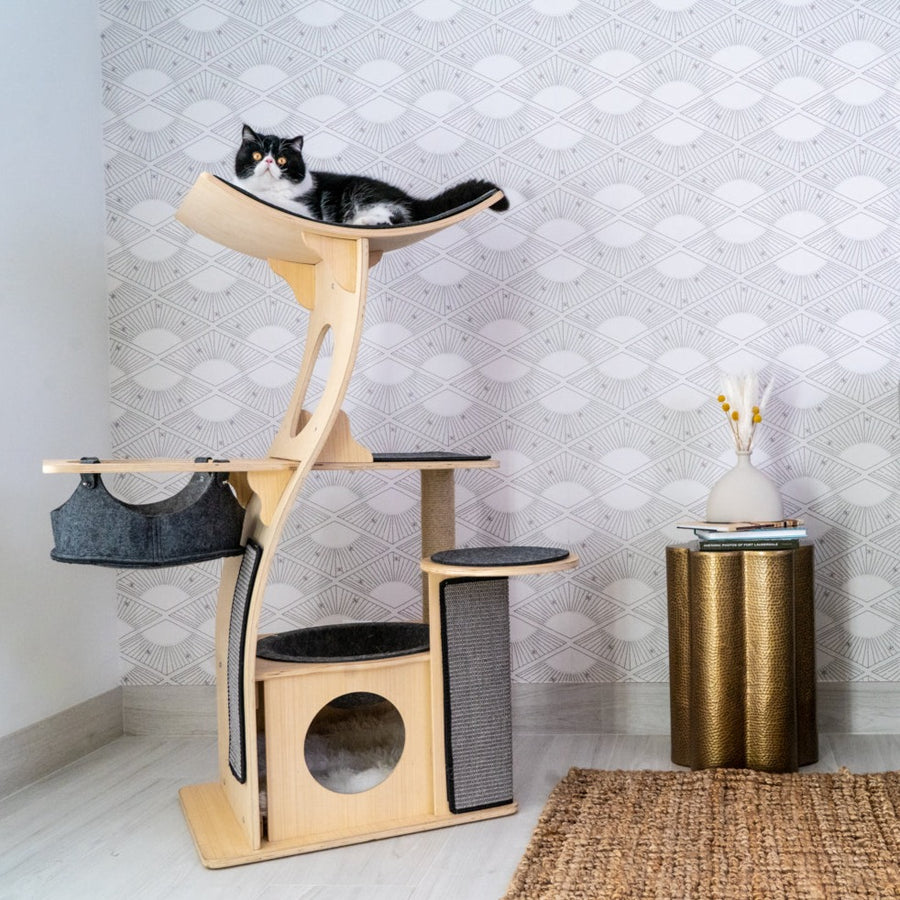 Cat Condo The Jungle Gym Cat Tree – Meowingtons