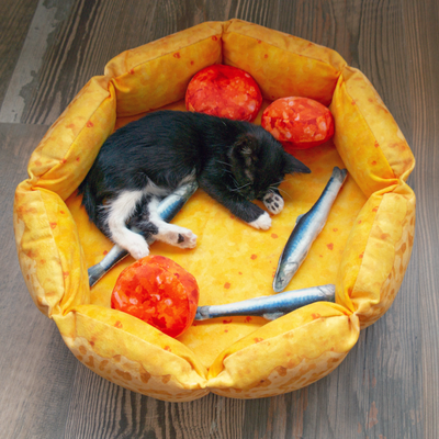 Black and white kitten curled up in a cat bed shaped like a pizza with anchovy and pepperoni pillows.