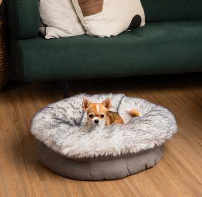 PupPouf™ Luxe Faux Fur Donut Pet Bed - Ultra Plush Arctic Fox