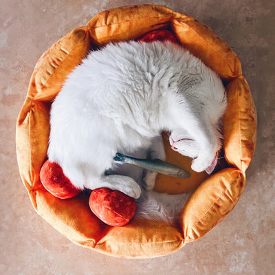 Cute Pizza Cat Bed