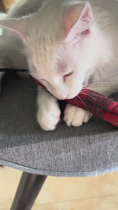 Plaid Nightcrawler Organic Catnip Kicker Toy