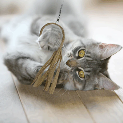 Flutter-Ring Cat Teaser Wand Attachment