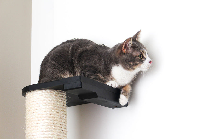 Wall Mounted Cat Scratching Post - Sisal