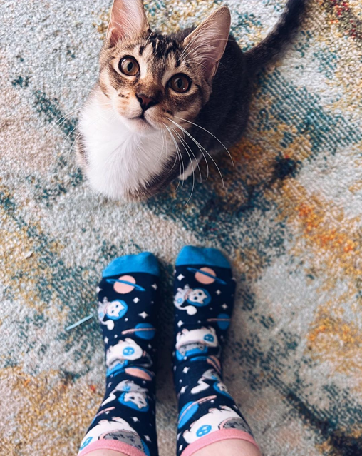 Mix & Match Meowter Space Cat Socks (3-Pack)