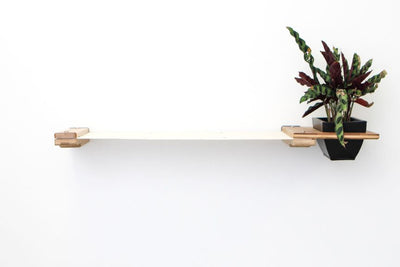 Cat Hammock Wall with Planter