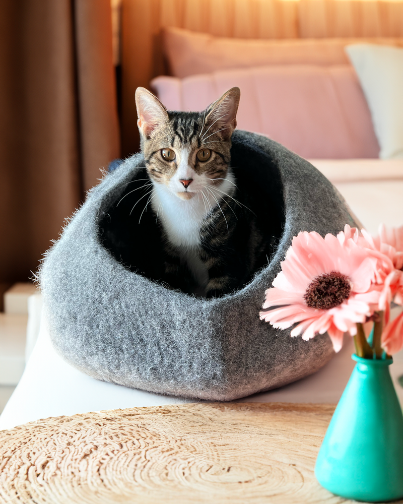 Graphite Ombre Organic Wool Cat Cave - Pet Bed