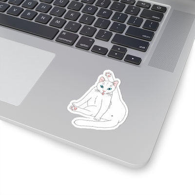 Privacy Please Cat Sticker