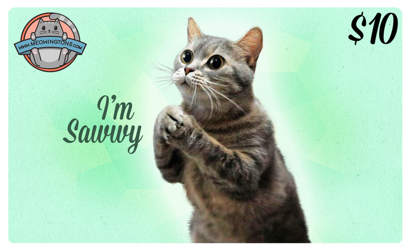Daker Sorry Sorry Cat